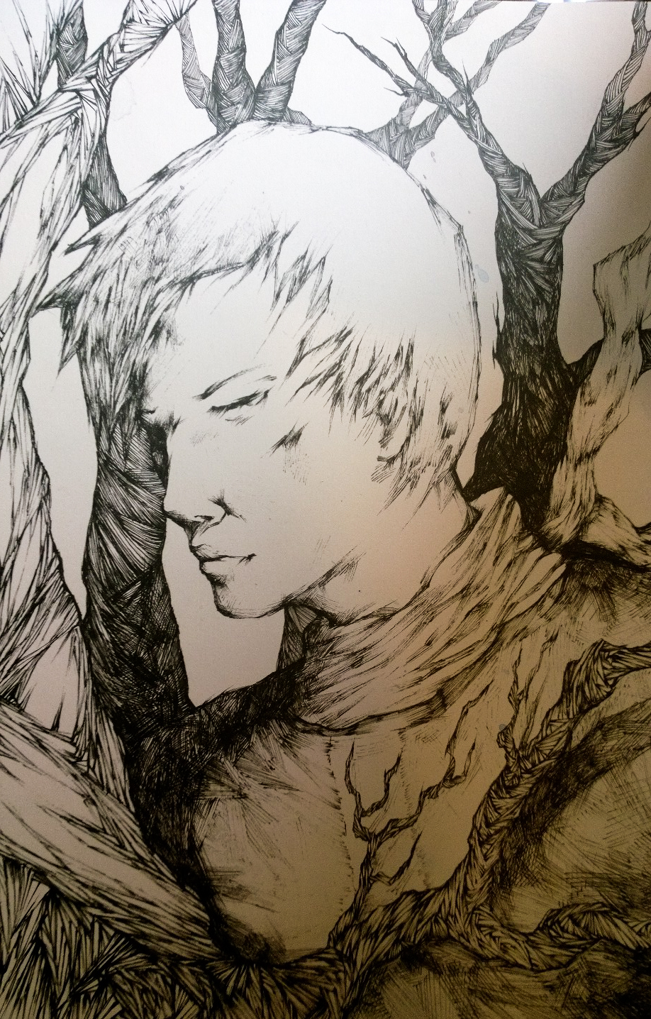 bring him to a forest.